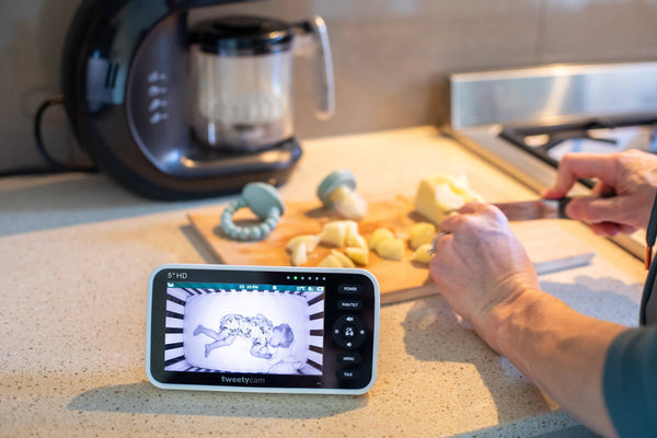 From baby monitors to baby meals: meet Tweetycam