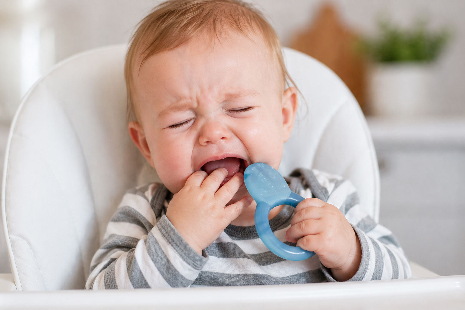 Teething baby crying in a high chair while holding a blue teething toy in a bright home kitchen.