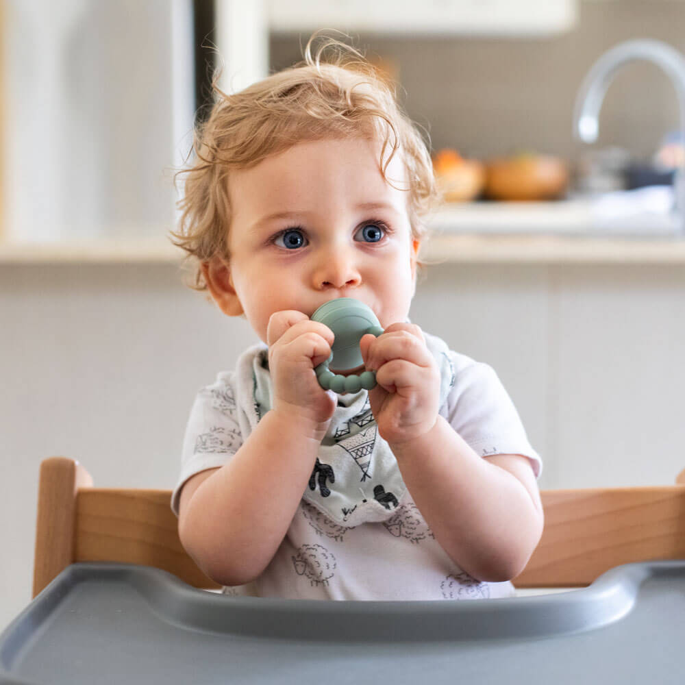 Chill’n’Chew Feeder