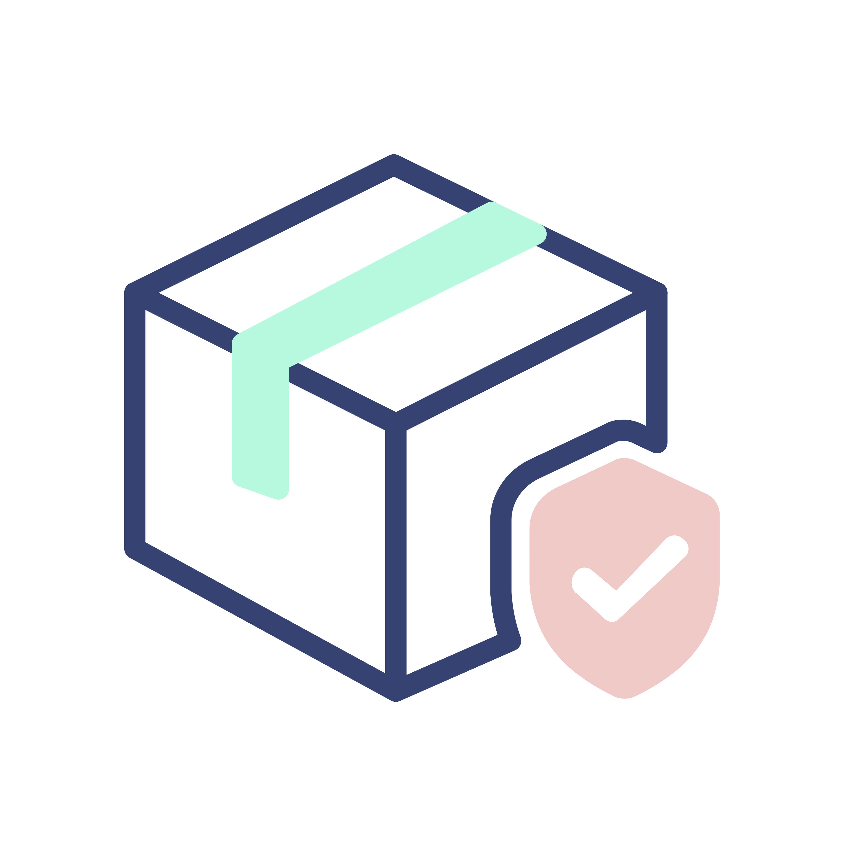 Shipping Protection
